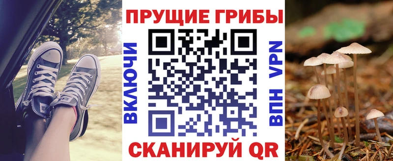 это наркотические препараты Аргун Псилоцибиновые грибы мухоморы закладка